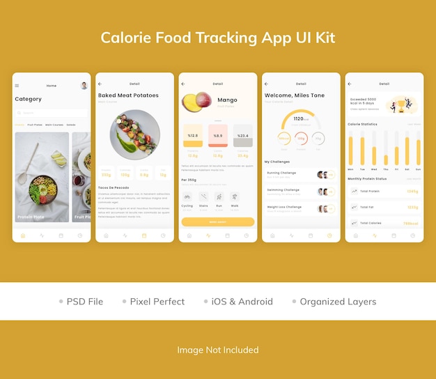 PSD ui-kit für die kalorien-food-tracking-app