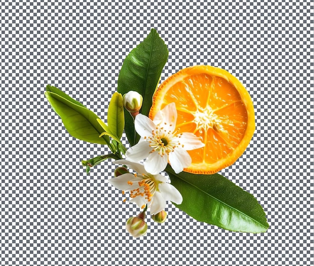 PSD el último gel para las cejas de flor de naranja aislado sobre un fondo transparente