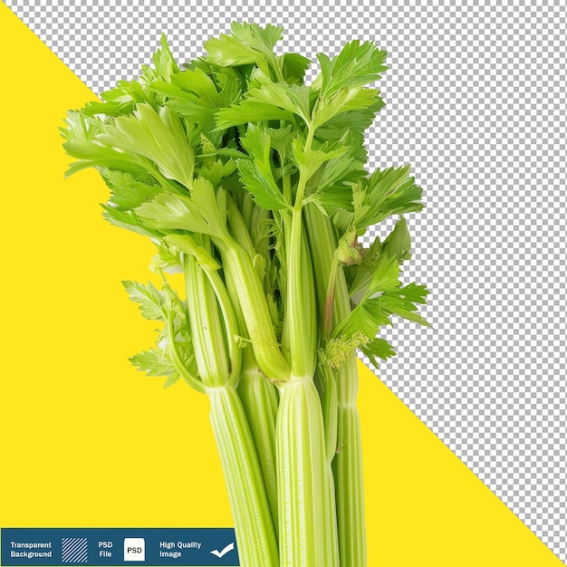 PSD um apio delicioso em um fundo branco fotografia de alimentos com fundo transparente png psd