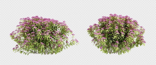 um arranjo floral com flores roxas em um fundo branco