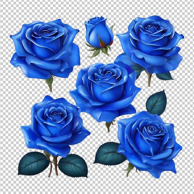 PSD um belo conjunto de ilustrações de flores de rosas clipart pro png