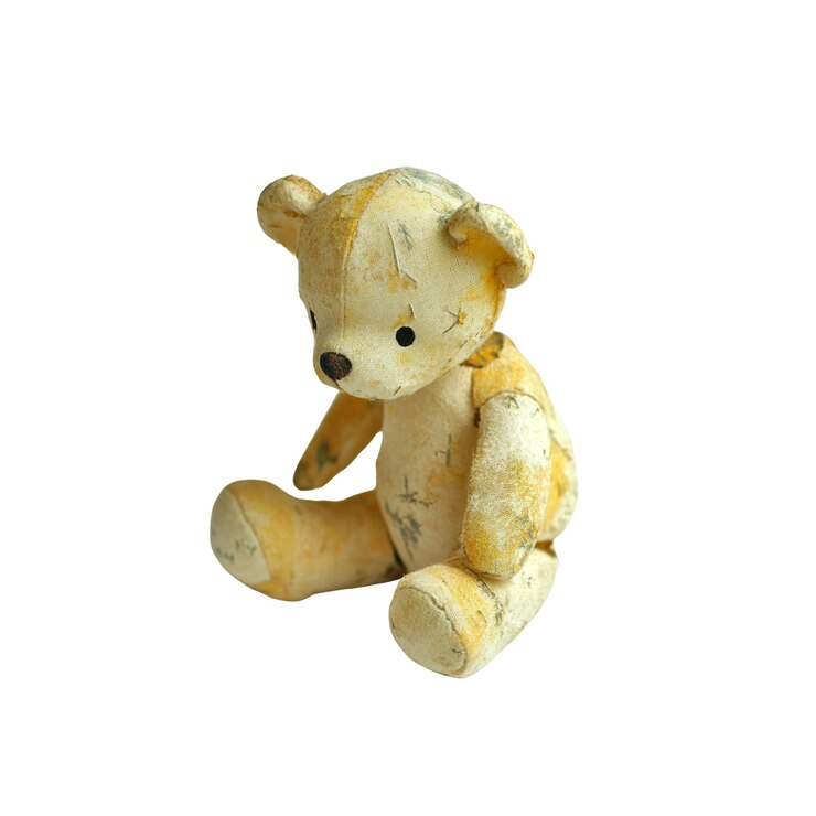 PSD um brinquedo de ursinho de pelúcia usado e amado