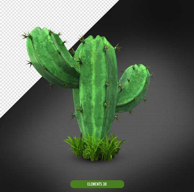Um cacto com pequenas plantas em sua base