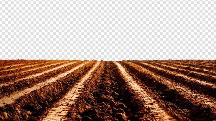 PSD um campo agrícola arado com um fundo branco