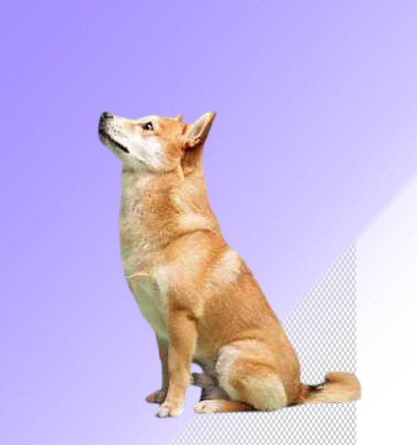 PSD um cão com a boca aberta e um fundo roxo com um fundo branco