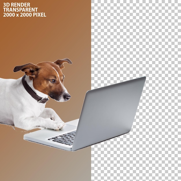 Um cão sentado para o cuidado do cão