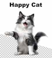 PSD um cartaz para um gato feliz que diz gato feliz.
