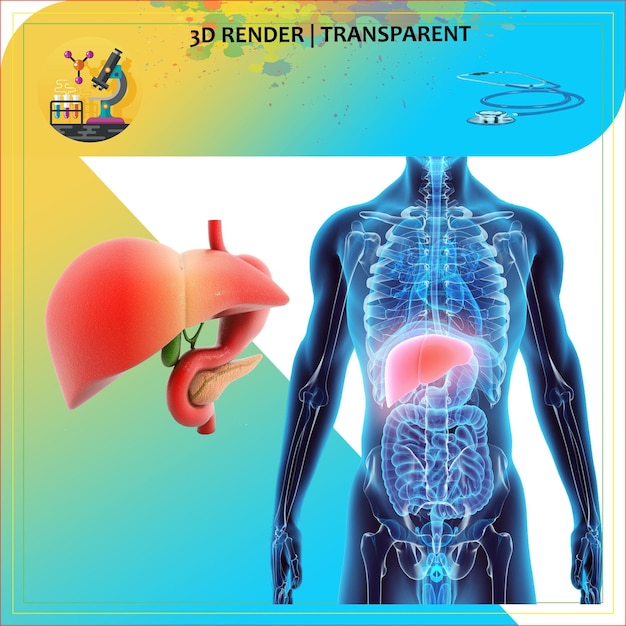 um cartaz para um modelo 3D de um homem com um boné vermelho