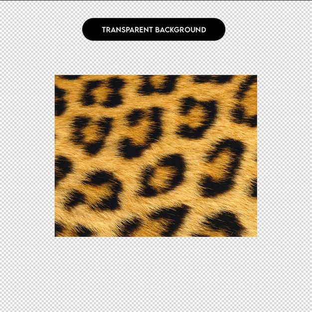 Um close-up da textura da pele de um leopardo