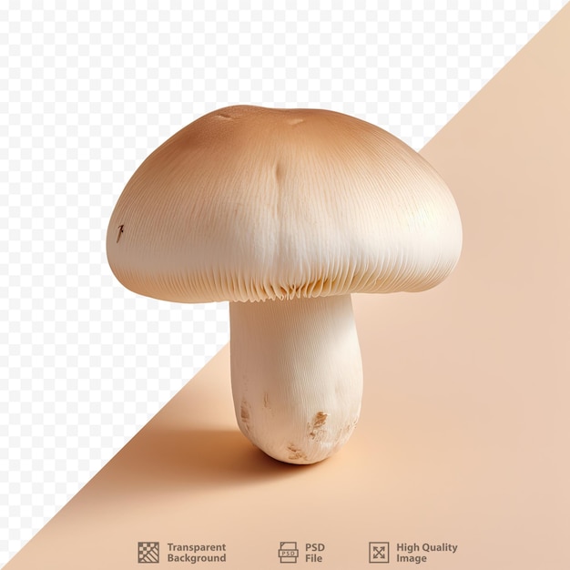 PSD um cogumelo é mostrado em uma foto com fundo marrom.