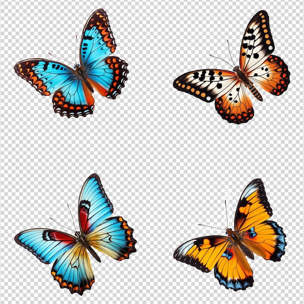 PSD um conjunto de png de borboletas coloridas isoladas em fundo transparente
