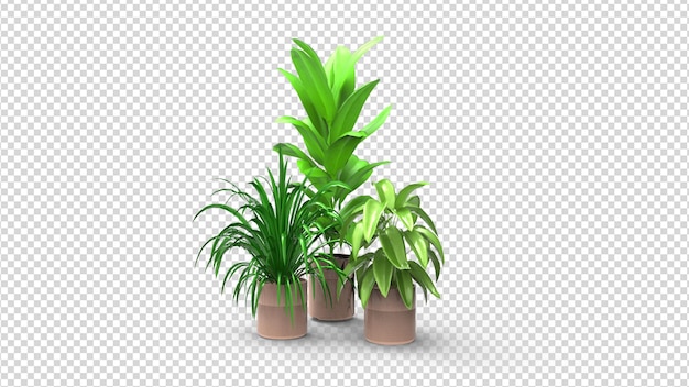 PSD um conjunto de vasos de plantas com folhas verdes.