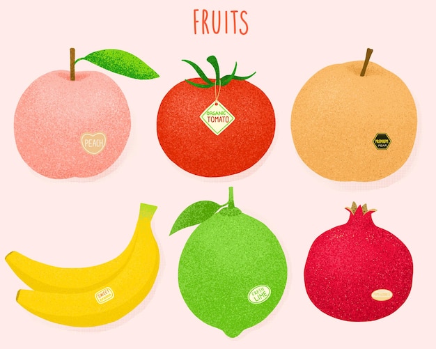 um desenho de fruta com a palavra fruta