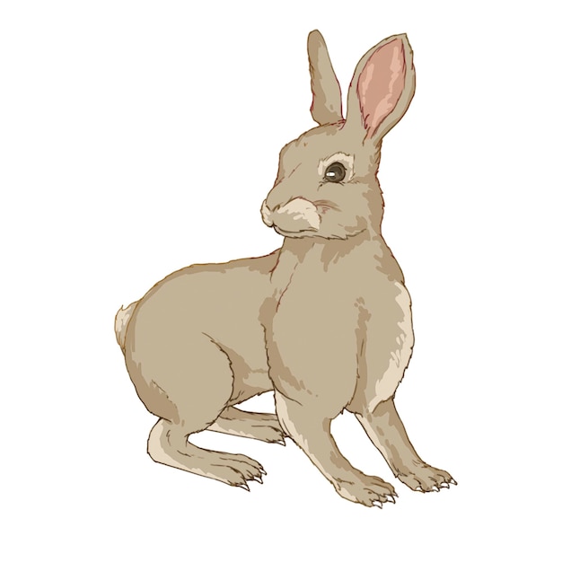 um desenho de um coelho que é chamado coelho