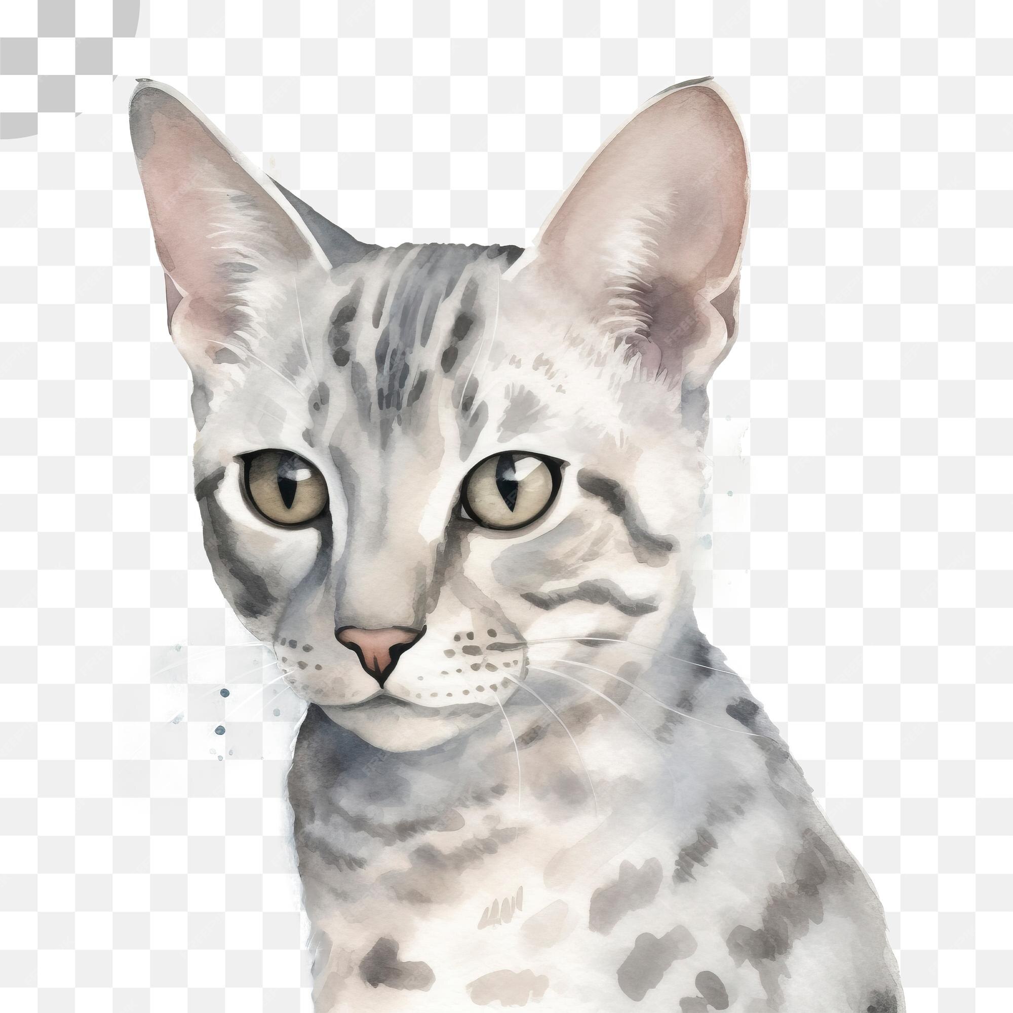 Fofos Desenhos Para Desenhar De Gatos, HD Png Download