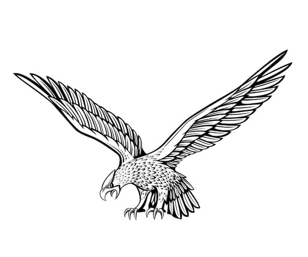 um desenho de um pássaro com um falcão nele