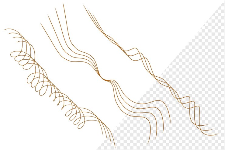 PSD um desenho de uma espiral em um fundo quadriculado