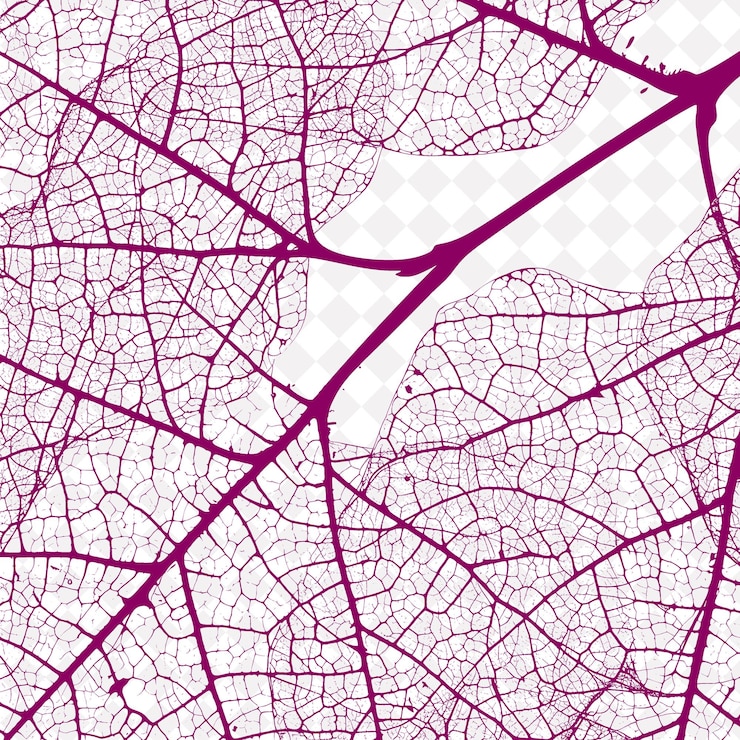 PSD um fundo roxo e branco com uma folha que tem um fundo roxo