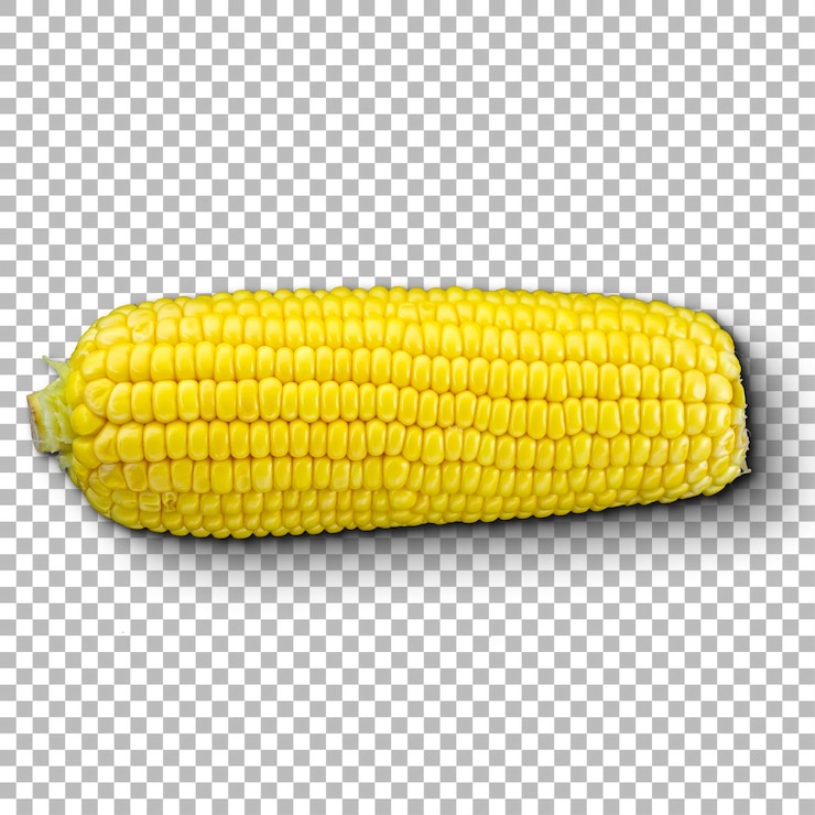 PSD um grão de milho fresco com seus grãos amarelos brilhantes, perfeitos para cozinhar ou comer