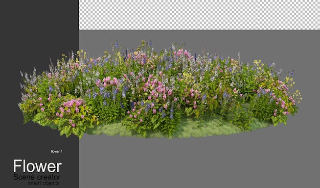 Um jardim com uma variedade de flores