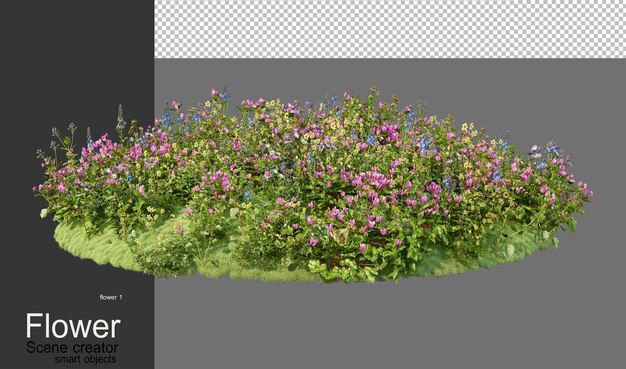 Um jardim com uma variedade de flores