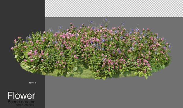 Um jardim com uma variedade de flores