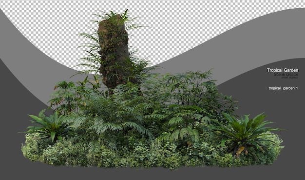 Um jardim tropical com uma variedade de plantas