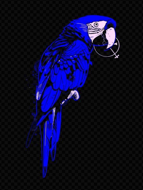 PSD um pássaro azul com uma cabeça branca e um fundo preto