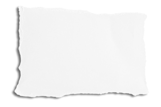 Um pedaço de papel branco rasgado com bordas irregulares contra um fundo emaranhado.