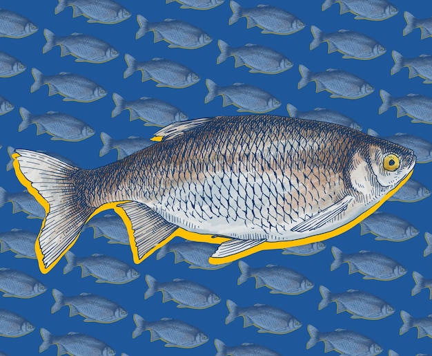 um peixe é mostrado em um desenho com peixes no meio