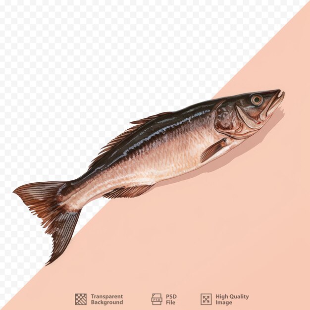 PSD um peixe está em um fundo rosa com a imagem de um peixe.