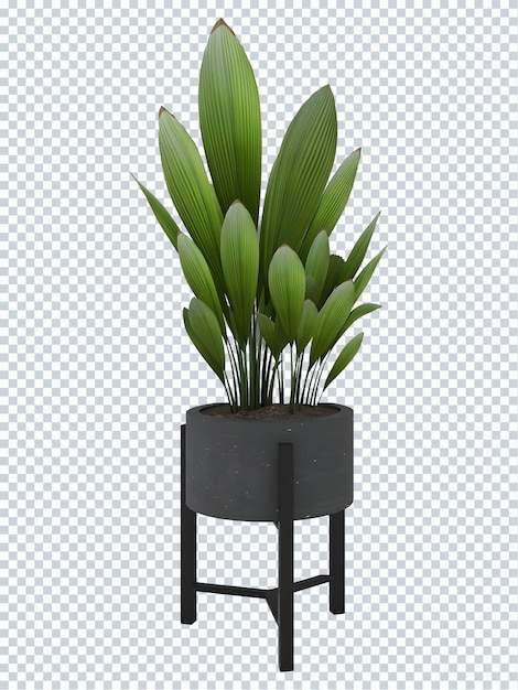 Um plantador preto com uma planta nele