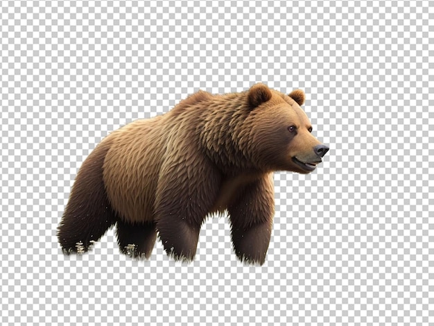 PSD um urso castanho grizzly no ambiente natural