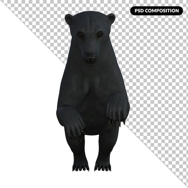 PSD um urso preto está de pé sobre suas patas traseiras isoladas renderização em 3d