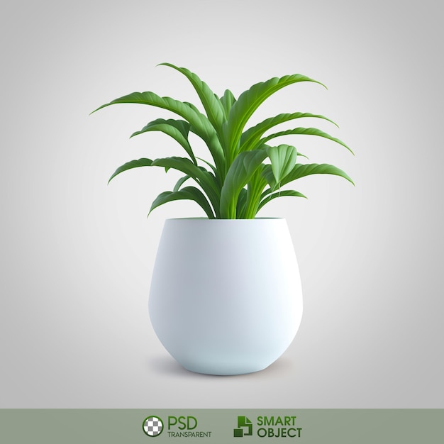 PSD um vaso branco com uma planta que diz psd.