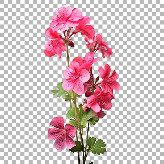 PSD um vaso de flores com um fundo em xadrez