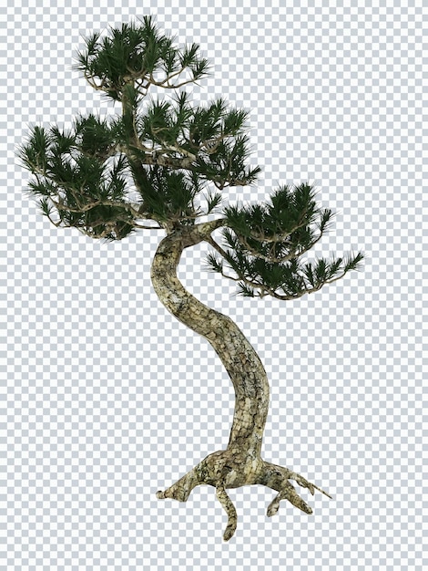 Uma árvore bonsai com um ramo e as raízes da árvore