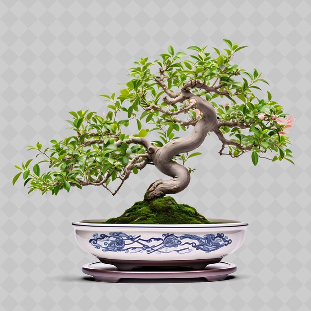 PSD uma árvore de bonsai com uma panela com uma planta nela