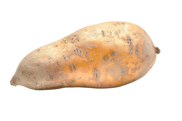 PSD uma batata doce recém-colhida revelando sua textura terráquea e cor vibrante perfeita para refeições e receitas nutritivas durante todo o ano