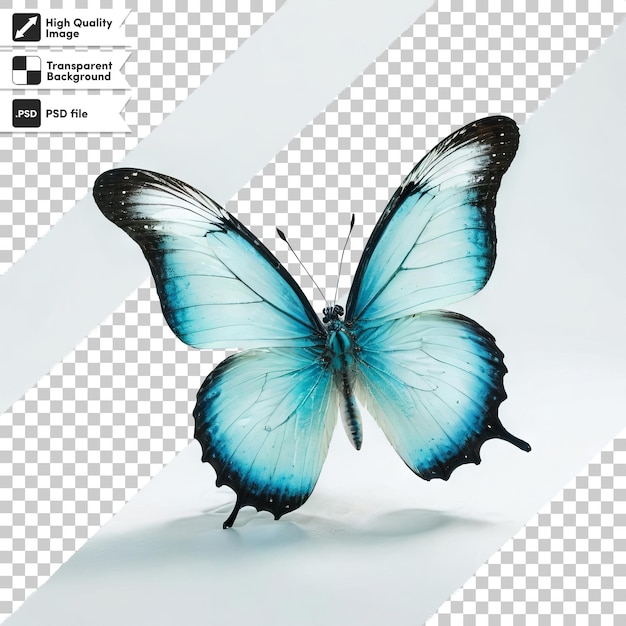 PSD uma borboleta com uma foto de uma borboleta