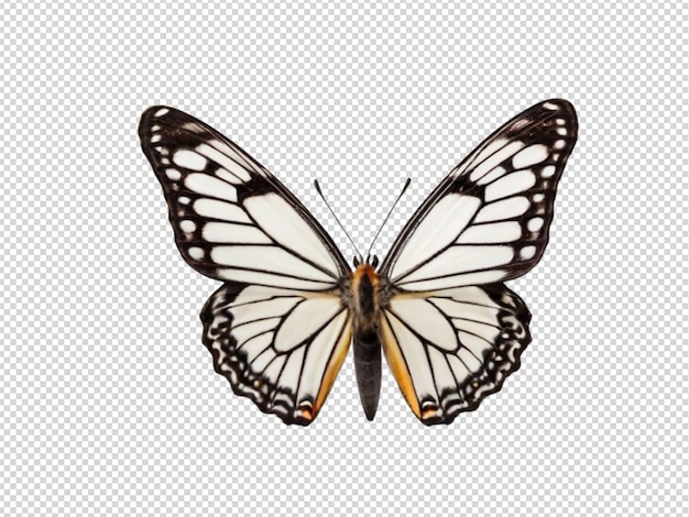 PSD uma borboleta png transparente