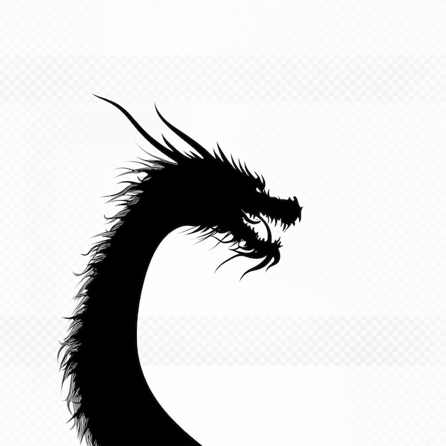 Uma cabeça de dragão preto.