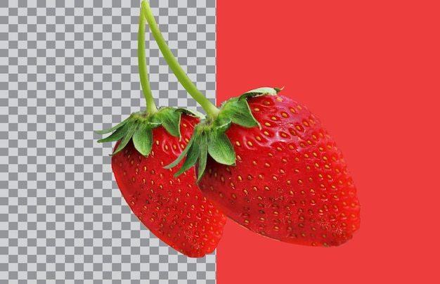 uma cebola vermelha