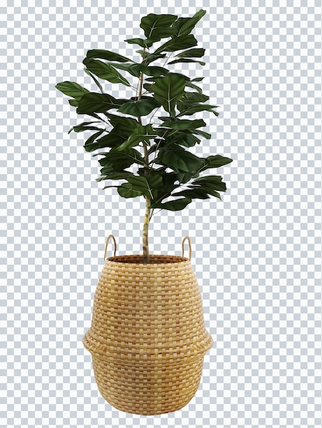 PSD uma cesta com uma pequena planta de cattapa