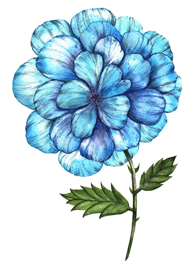 PSD uma delicada flor de água fictícia com pétalas suaves e translúcidas em azul pálido incrível