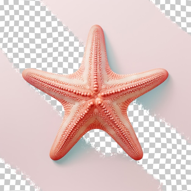PSD uma estrela do mar está deitada sobre uma superfície quadriculada.