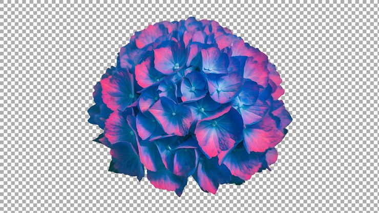 PSD uma flor é colorida de azul e rosa com um centro vermelho