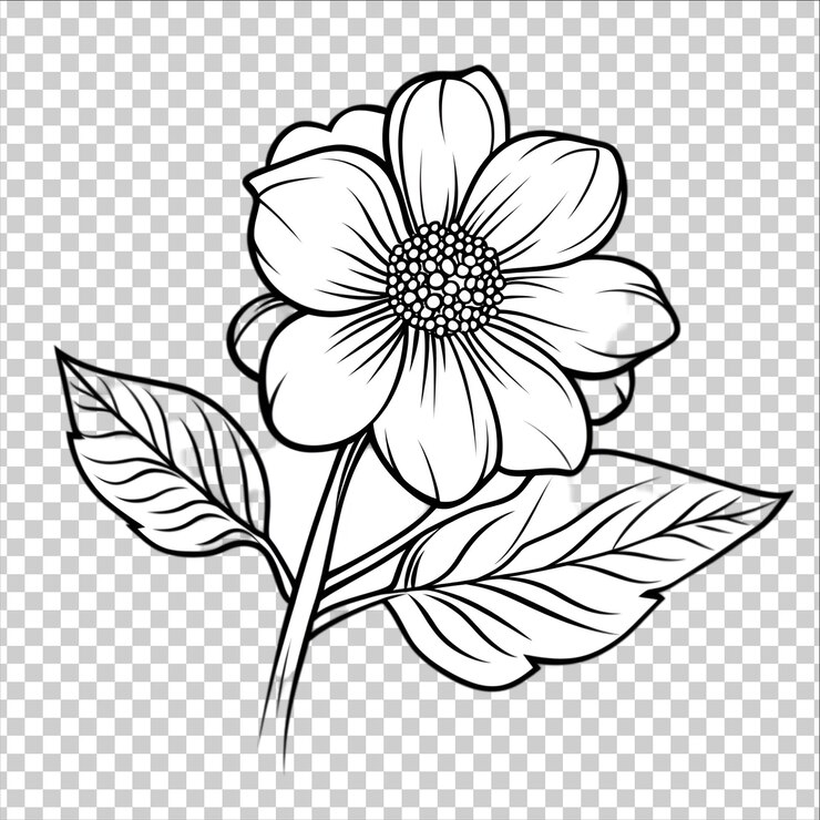 PSD uma flor e uma flor em um fundo transparente