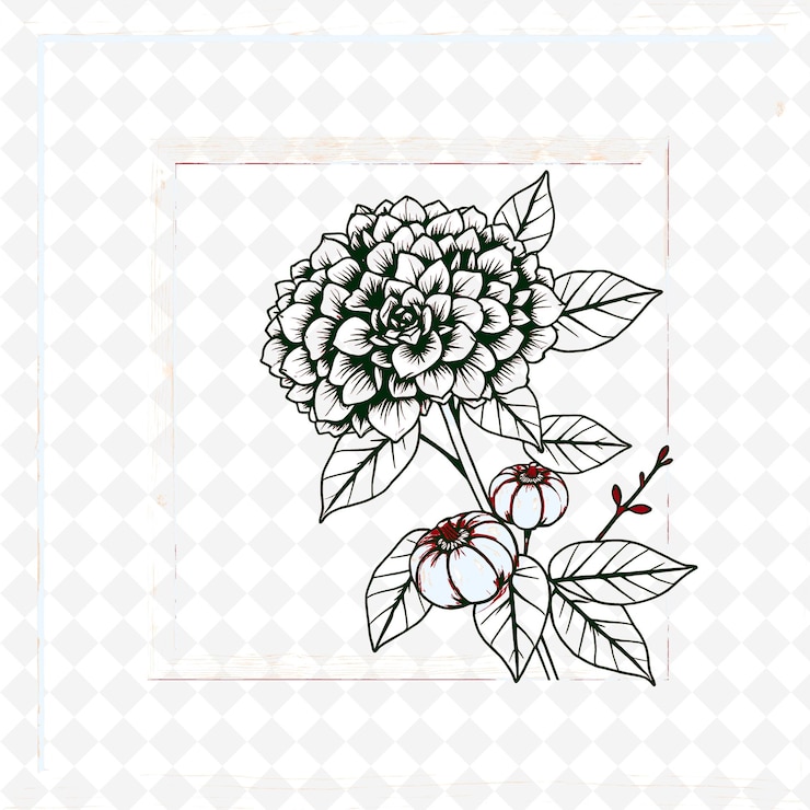 PSD uma flor está em um fundo branco com uma borda vermelha