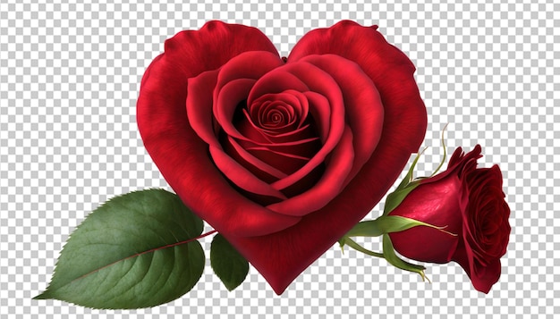 PSD uma flor vermelha em forma de coração em fundo transparente